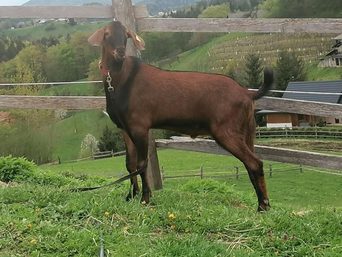 Ranch At Geta Guest House Razgorce Bagian luar foto