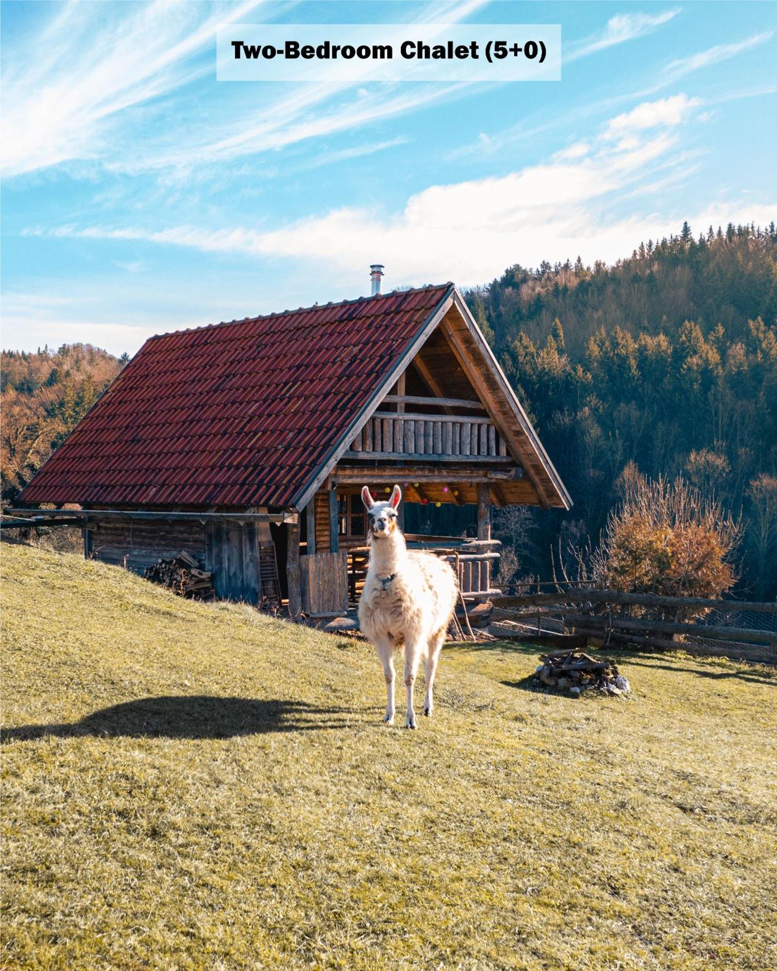 Ranch At Geta Guest House Razgorce Ruang foto